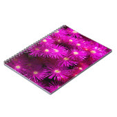 Pink-Aster-Blume Notizblock (Linke Seite)