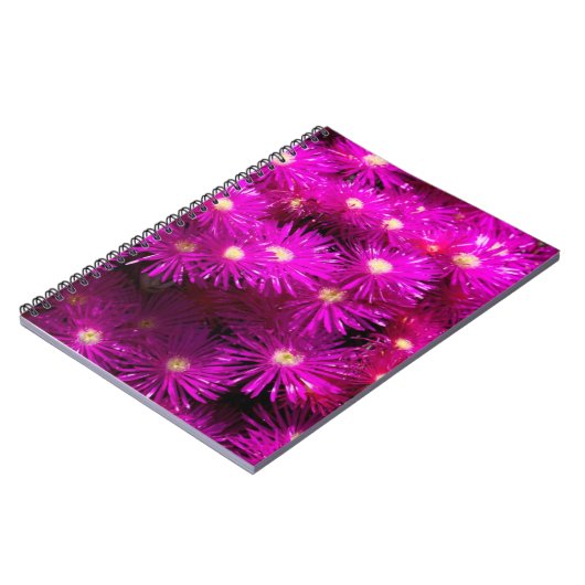Pink-Aster-Blume Notizblock (Linke Seite)