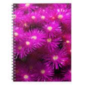 Pink-Aster-Blume Notizblock (Vorderseite)