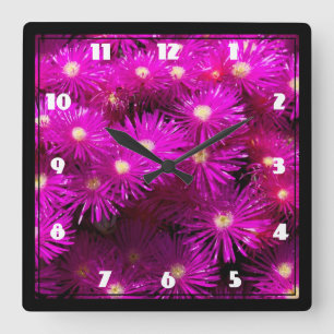 Pink-Aster-Blume Quadratische Wanduhr