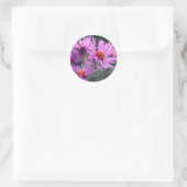 Pink-Aster-Blume Runder Aufkleber (Tasche)