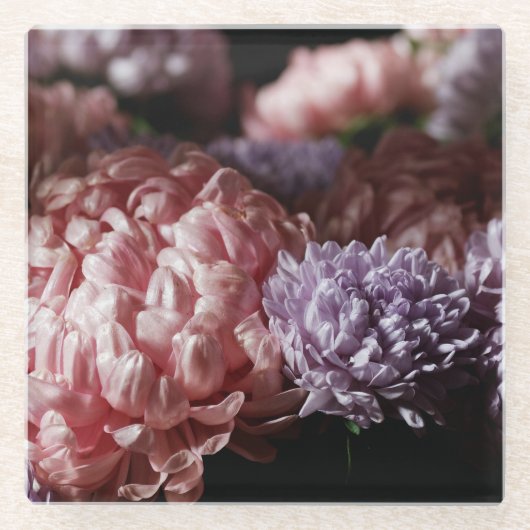 Pink Aster Bouquet: Barockbeleuchtung. Glasuntersetzer (Vorderseite)