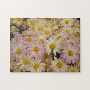 Pink Asters Puzzle