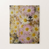 Pink Asters Puzzle (Vertikal)