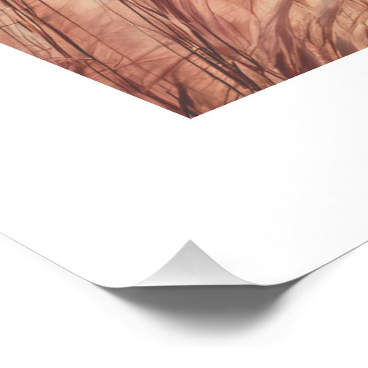 Pink Ästhetische Pampas Poster (Ecke)