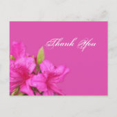 Pink azalea Blume danke Postkarten (Vorderseite)