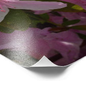 Pink Azalea Bush Frühjahr Floral Fotodruck (Ecke)