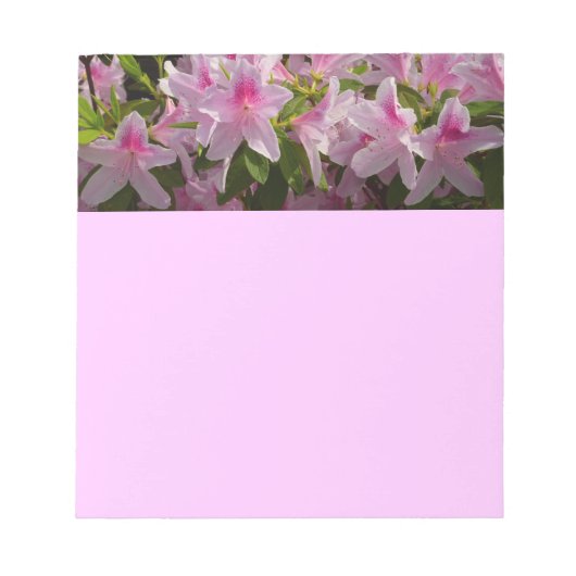 Pink Azalea Bush Frühjahr Floral Notizblock (Vorderseite)