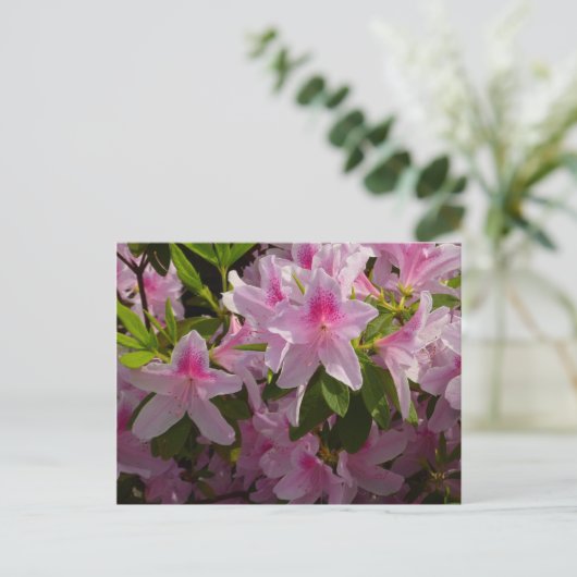 Pink Azalea Bush Frühjahr Floral Postkarte (Stehend Vorderseite)