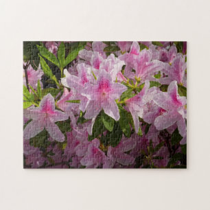 Pink Azalea Bush Frühjahr Floral Puzzle