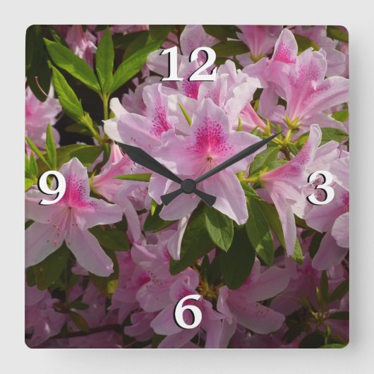 Pink Azalea Bush Frühjahr Floral Quadratische Wanduhr (Vorderseite)