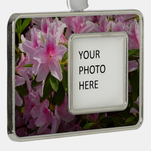 Pink Azalea Bush Frühjahr Floral Rahmen-Ornament Silber (Rechts)