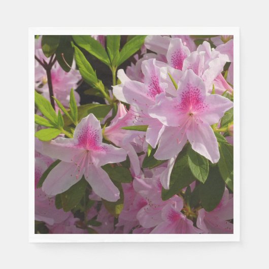Pink Azalea Bush Frühjahr Floral Serviette (Vorderseite)