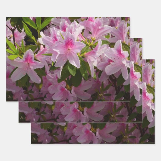 Pink Azalea Bush Spring Floral Geschenkpapier Set (Set)