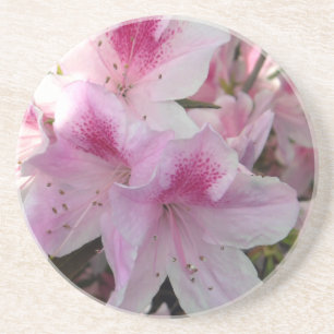 Pink Azalea Floral Foto Sandstone Untersetzer