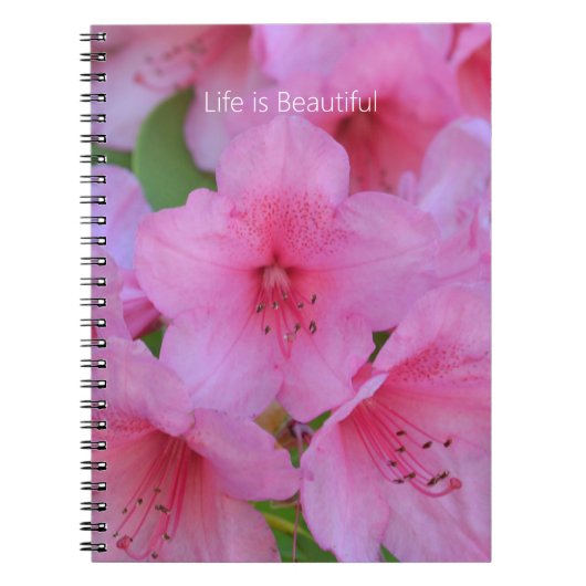 Pink Azalea Flowers (my photography) Notizblock (Vorderseite)