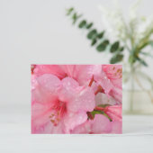 Pink azalea flowers postkarte (Stehend Vorderseite)