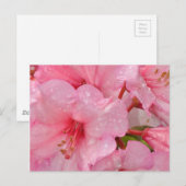 Pink azalea flowers postkarte (Vorne/Hinten)