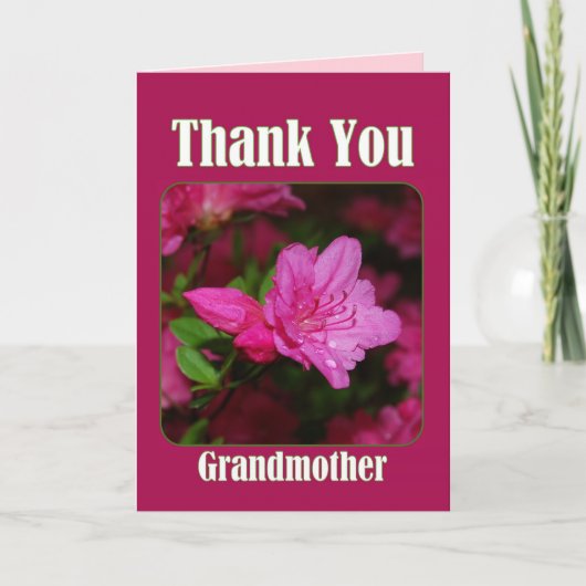 Pink Azalea Grandmutter Danke (Vorderseite)
