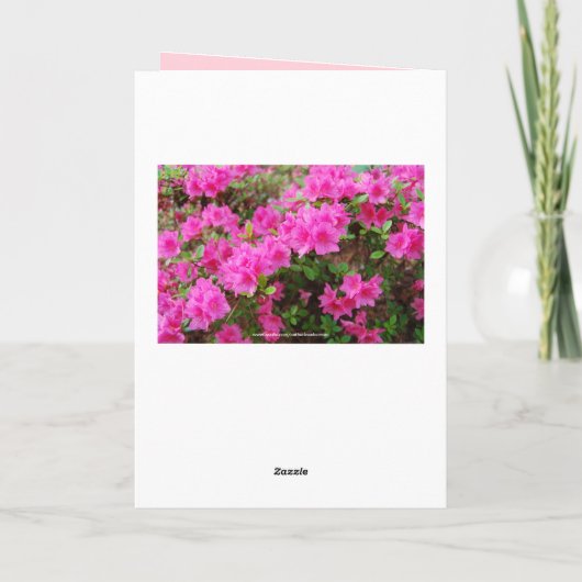 Pink Azalea Grandmutter Danke (Rückseite)