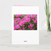 Pink Azalea Mutter Vielen Dank Leere Dankeskarte (Rückseite)