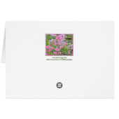 "PINK AZALEAS" DANKT MAMA/GLÜCKLICHER MUTTER-TAG (Rückseite Horizontal)