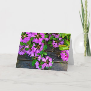 Pink Azaleas flowers, rustic backyard woodgrain  Karte
