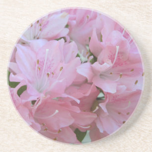 Pink Azaleas Sandstone Untersetzer
