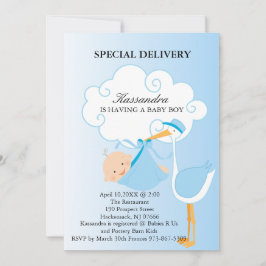 Pink Baby Boy Stork Babydusche Einladung