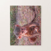 Pink Baby Monkey Puzzle (Vertikal)