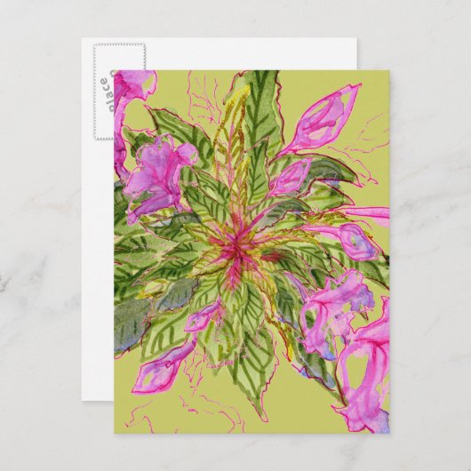 Pink Balsam Blume Bouquet auf Green Postkarte (Vorne/Hinten)