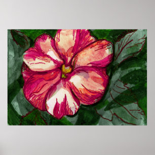 Pink Balsam Blume Poster