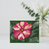 Pink Balsam Blume Postkarte (Stehend Vorderseite)