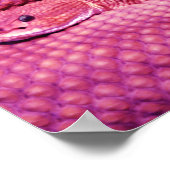 Pink Basilisk Rattlesnake Poster (Ecke)