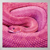 Pink Basilisk Rattlesnake Poster (Vorne)