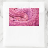 Pink Basilisk Rattlesnake Rechteckiger Aufkleber (Tasche)