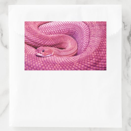Pink Basilisk Rattlesnake Rechteckiger Aufkleber (Tasche)