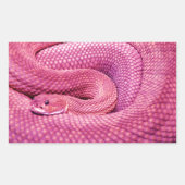 Pink Basilisk Rattlesnake Rechteckiger Aufkleber (Vorderseite)