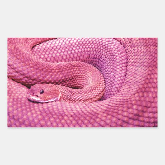 Pink Basilisk Rattlesnake Rechteckiger Aufkleber (Vorderseite)