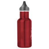 PINK BCA Liberty Bottleworks BPA FREI Trinkflasche (Links)