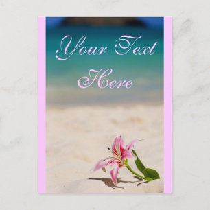 Pink Beach Liege Postkarte