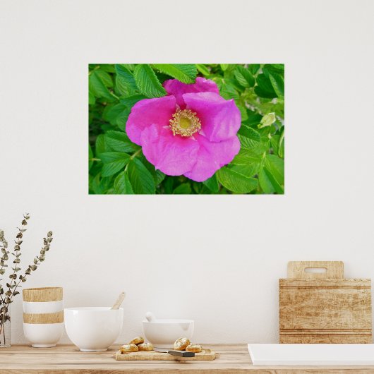 Pink Beach Rosen Poster (Küche)