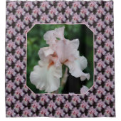 Pink Bearded Iris Flower Pattern Duschvorhang (Vorderseite)