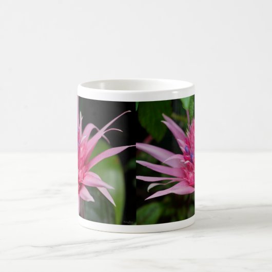 Pink Beauty Coffee Tasse (Mittel)