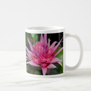 Pink Beauty Coffee Tasse