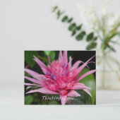 Pink Beauty Denken Sie an Ihre Postkarte (Stehend Vorderseite)