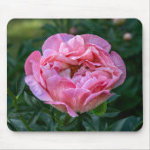 Pink Beauty: Die Fotografie der Pony wird faszinie Mousepad (Vorne)