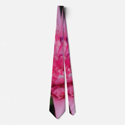 Pink Beauty Neck Tie Krawatte (Vorderseite)