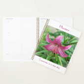 Pink Beauty Planer (Anzeige)