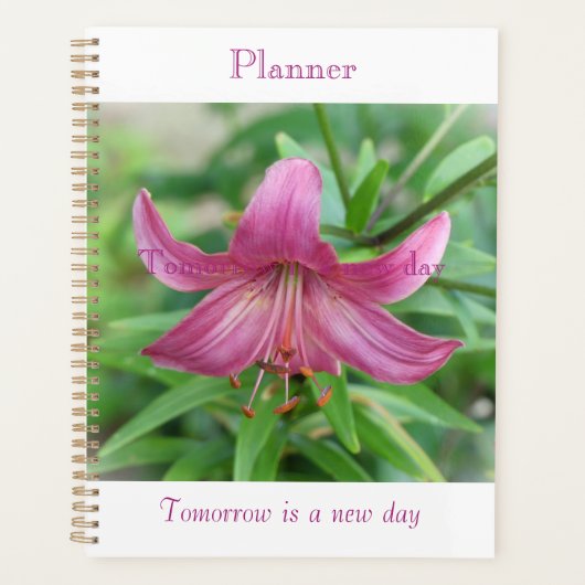 Pink Beauty Planer (Vorderseite)